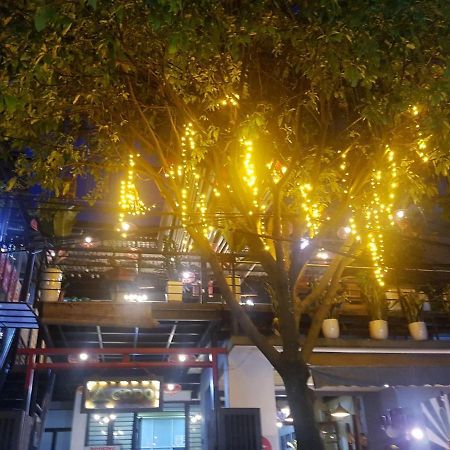 Codohomestay Garden フエ エクステリア 写真